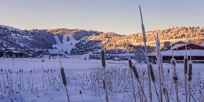 Park City MLS Stats - November 2023