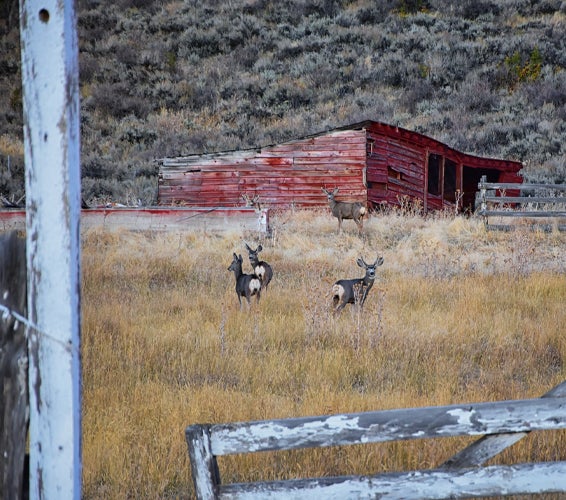 Wanship Hoytsville Coalville & Rockport Utah real estate listings for sale