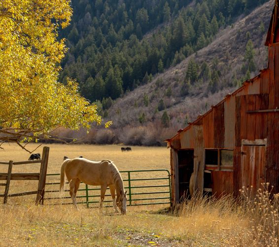 Kamas and Marion Utah real estate listings for sale