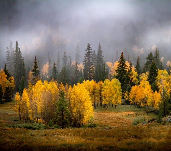 Woodland and Francis Utah real estate and homes for sale