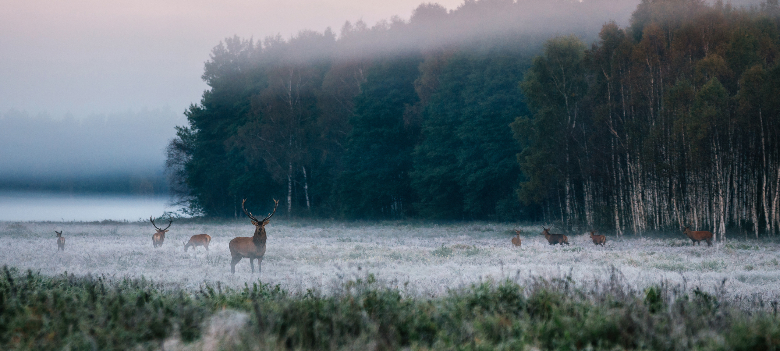 Oakley & Weber Canyon Utah real estate listings for sale