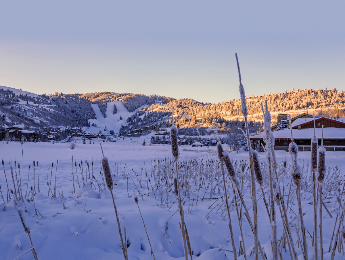 Park City MLS Stats - November 2023
