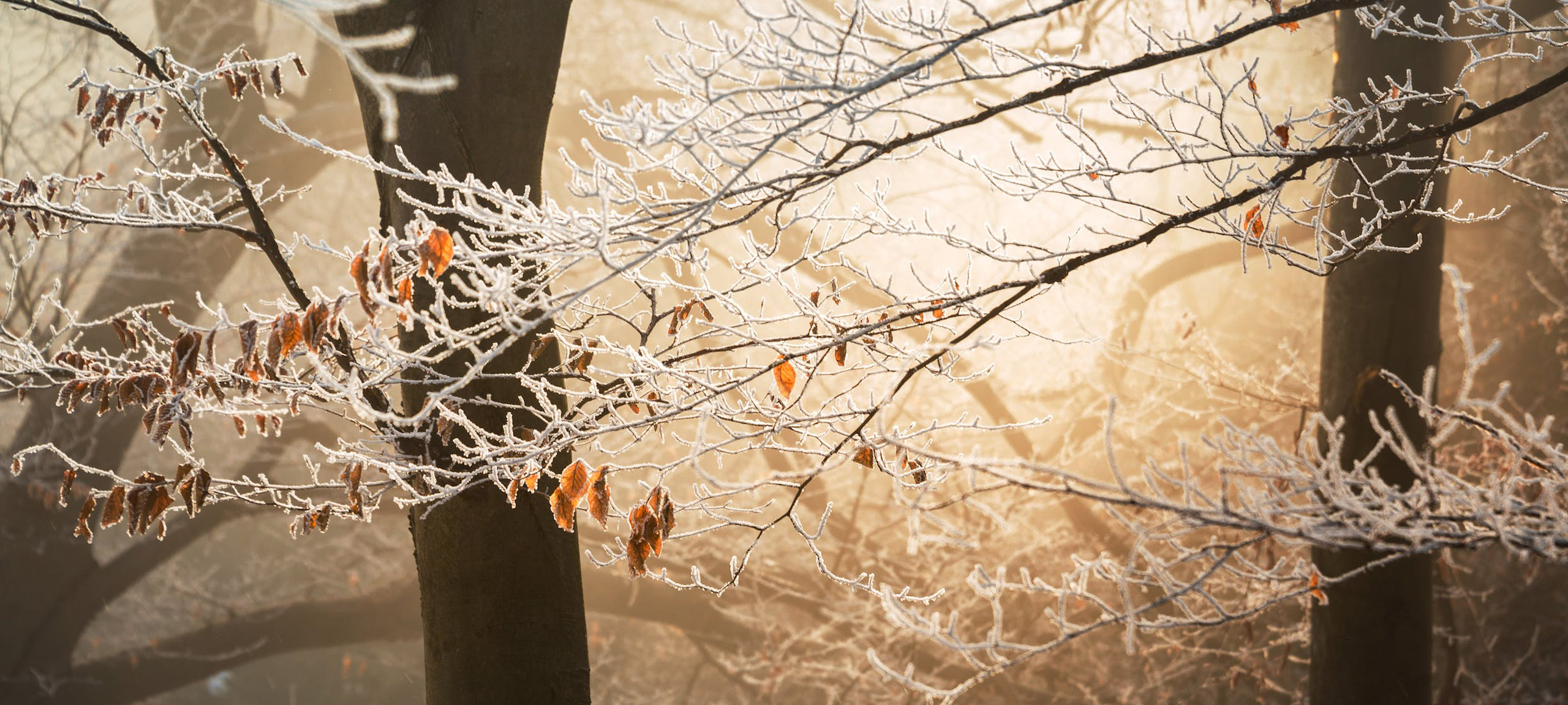 Real estate listings for sale in Peoa Utah and Brown's Canyon