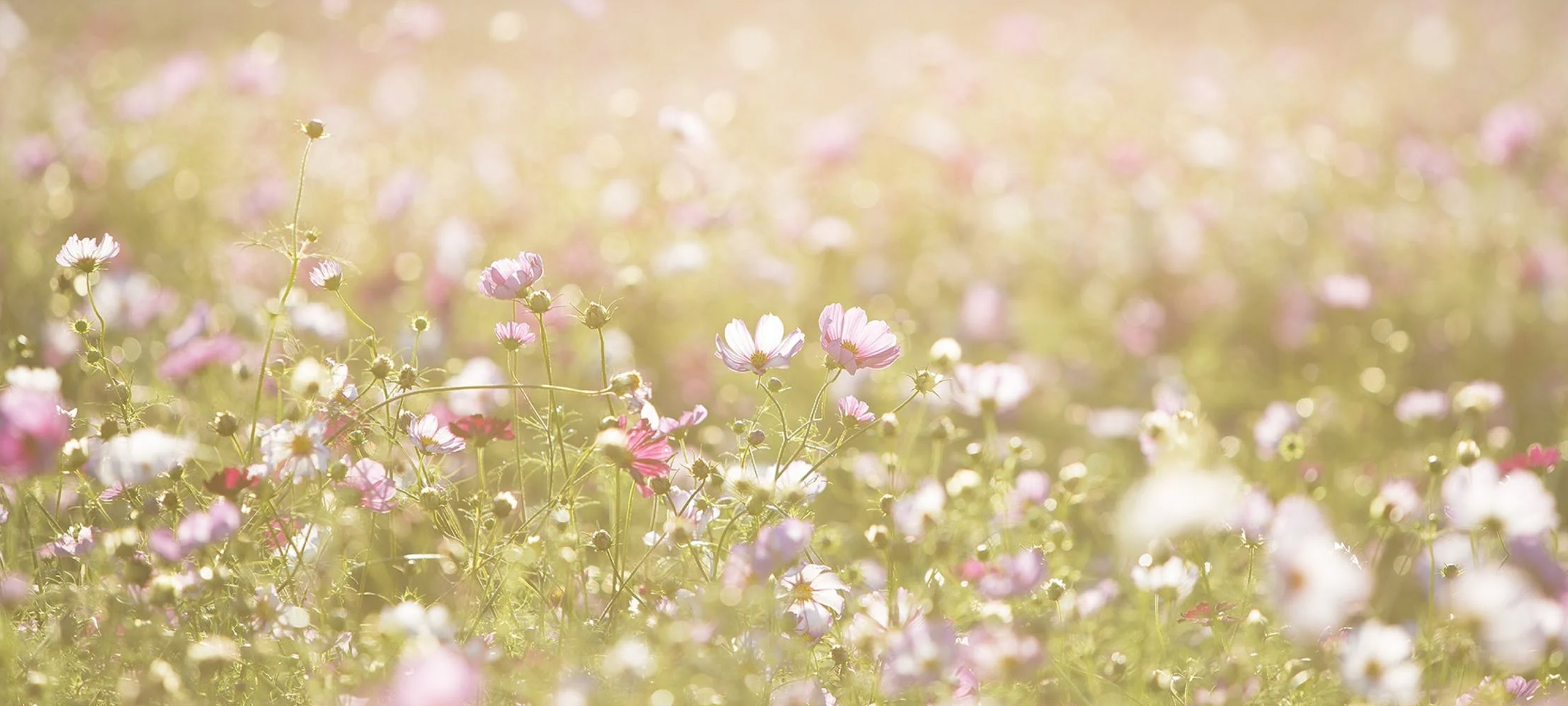 Silver Creek real estate listings for sale in Park City Utah