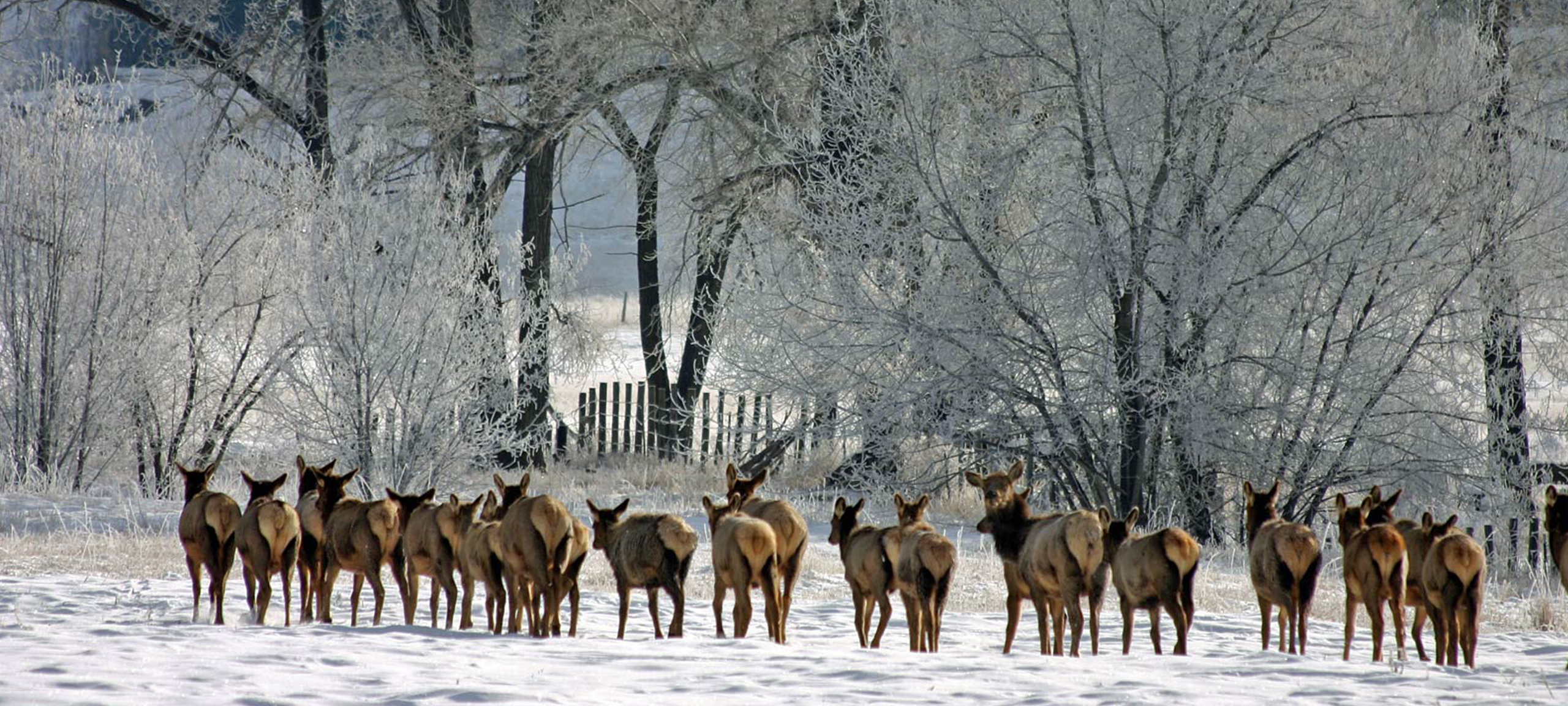 Silver Springs condos and townhomes for sale in Park City Utah