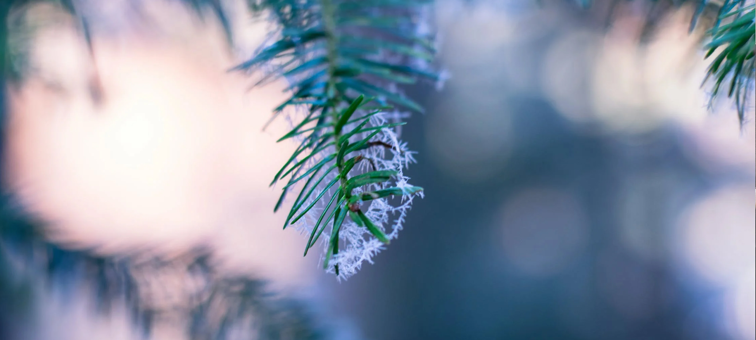 Summit Park homes for sale in Park City Utah