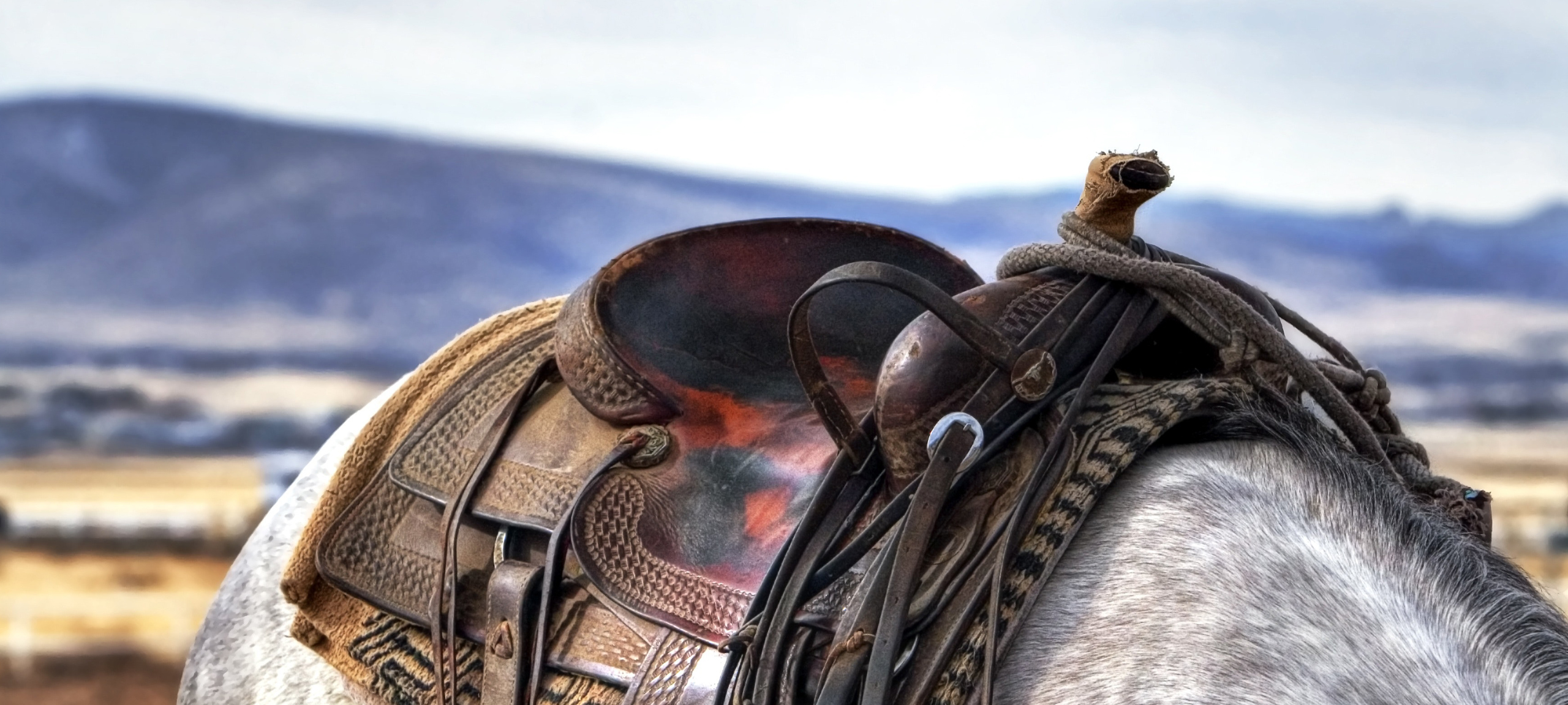 Woodland and Francis Utah condos and townhomes for sale